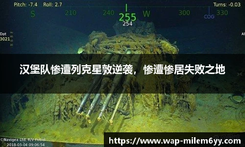 YY体育