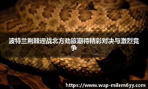 易游体育