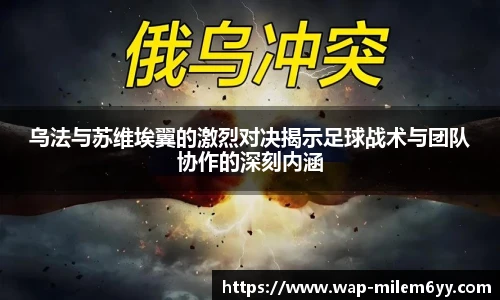 YY体育